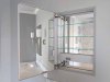 Snoqualmie Ridge mirrored medicine cabinet renovation