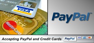 visa mastercard american express paypal